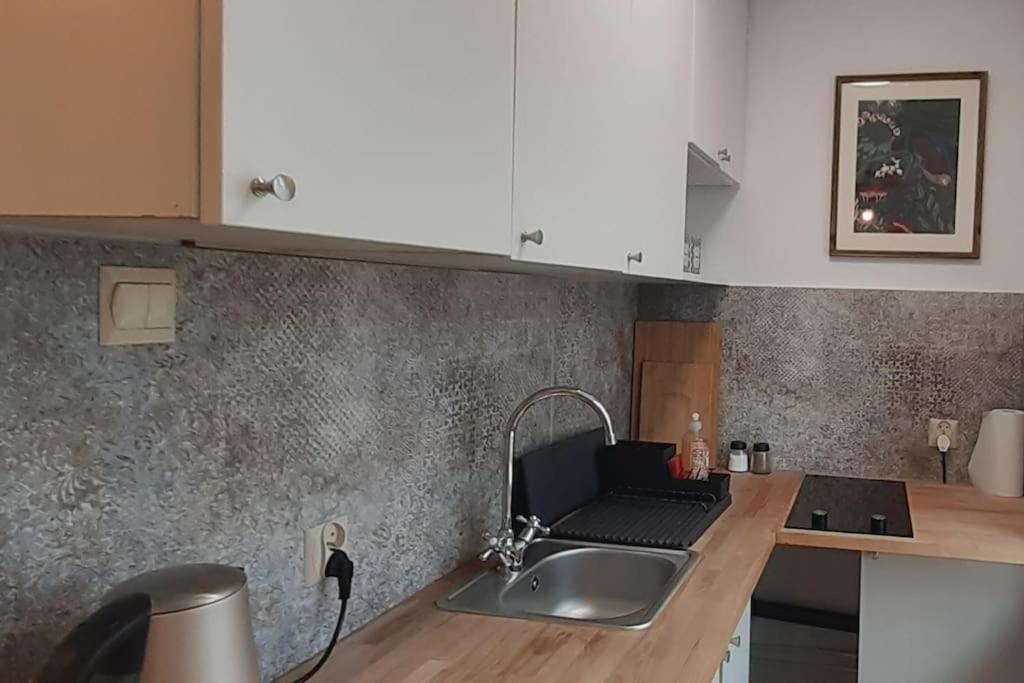 Lemuria Apartament Szkolna Centrum 웨그니차 외부 사진