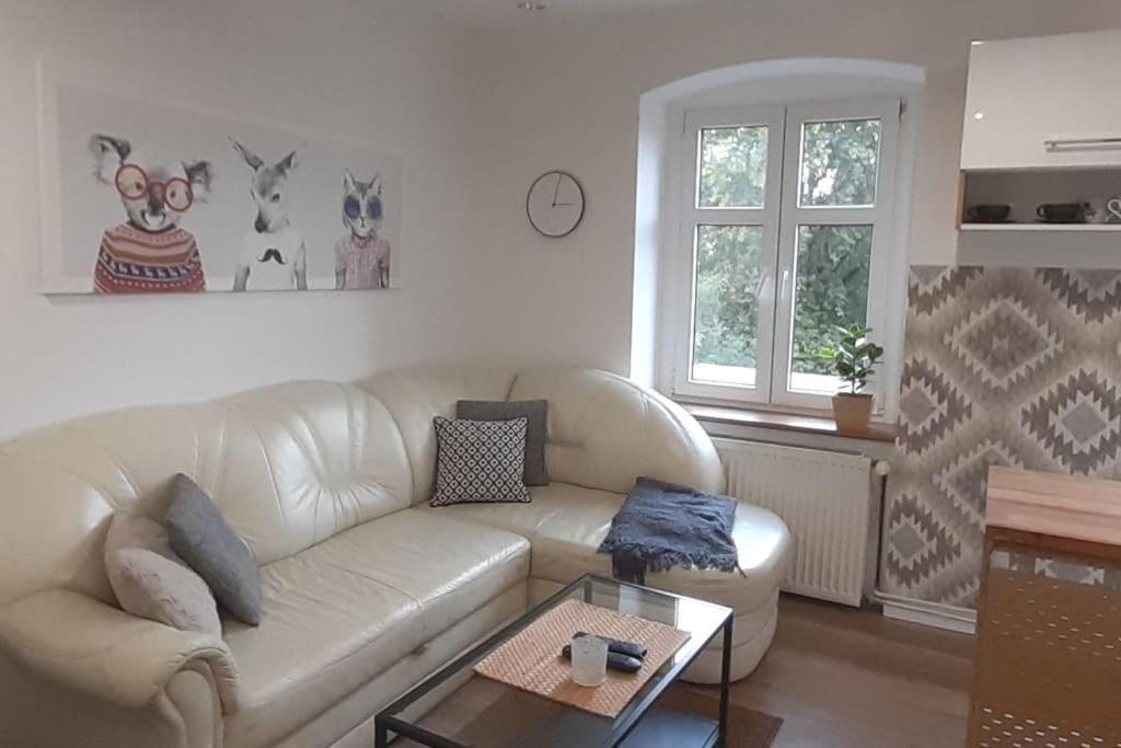 Lemuria Apartament Szkolna Centrum 웨그니차 외부 사진