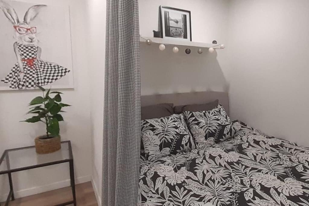 Lemuria Apartament Szkolna Centrum 웨그니차 외부 사진