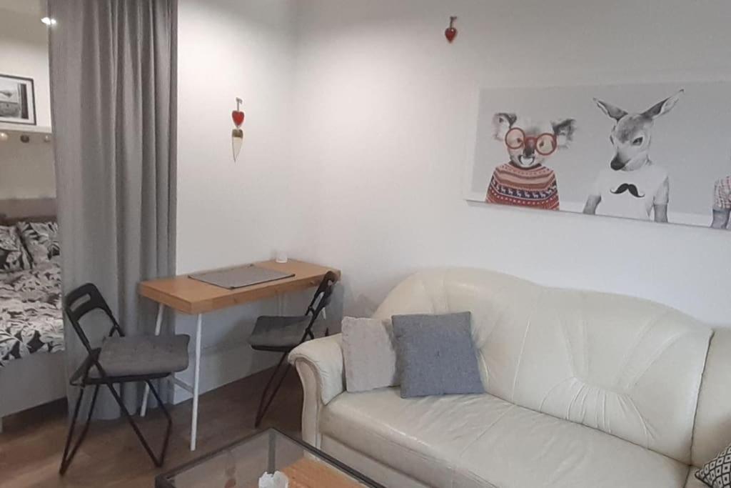 Lemuria Apartament Szkolna Centrum 웨그니차 외부 사진