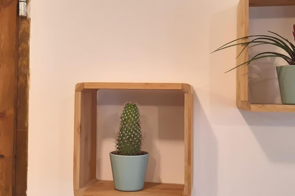 Lemuria Apartament Szkolna Centrum 웨그니차 외부 사진